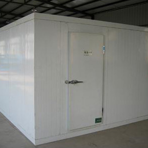 龙在ky体育(中国)官方网站